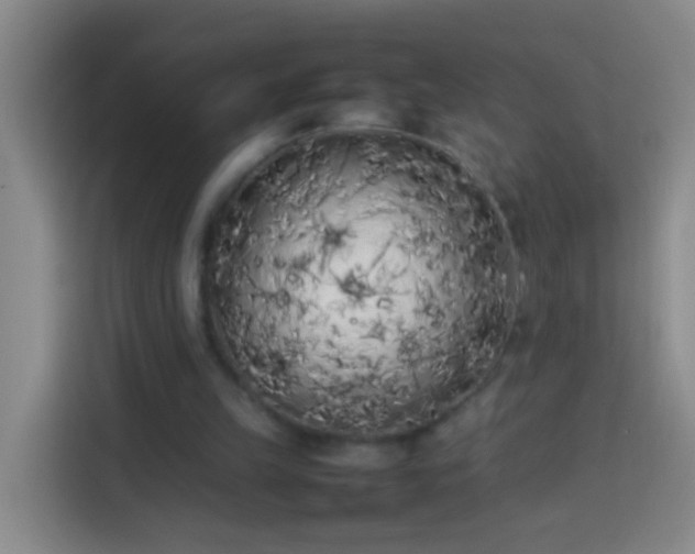 X0000113890149200910011329