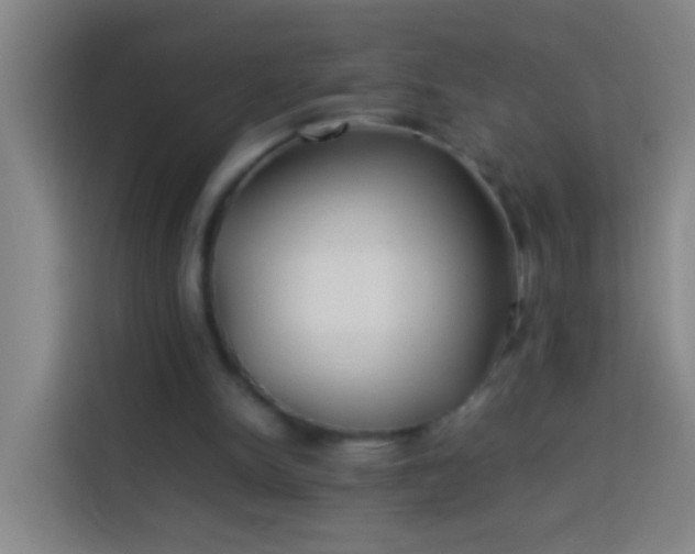 X0000113890150200910011329