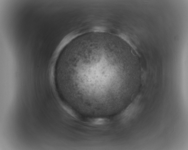 X0000113890151200910011329