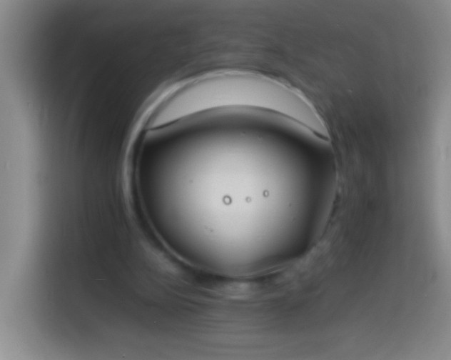 X0000113890152200910011329