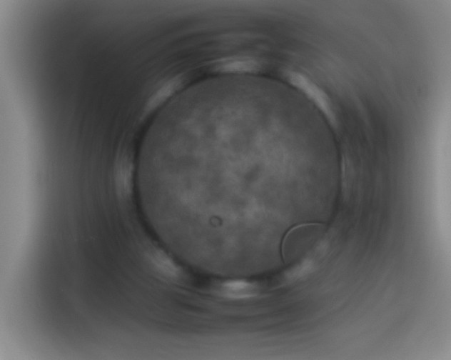 X0000113890153200910011329