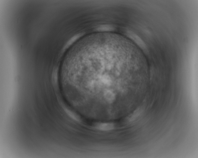 X0000113890155200910011329