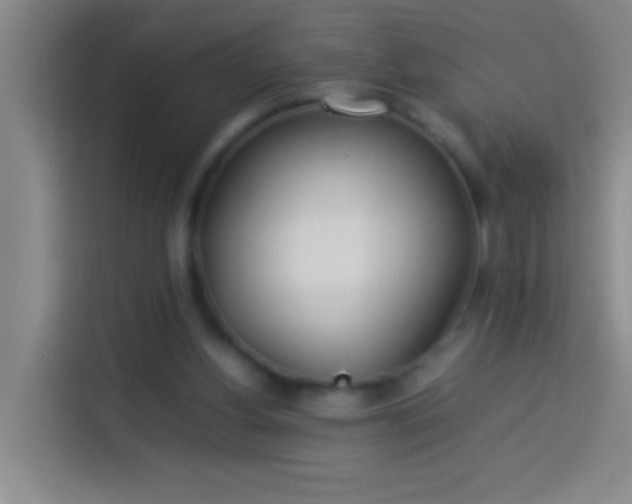 X0000113890156200910011329