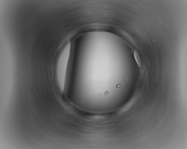 X0000113890158200910011329