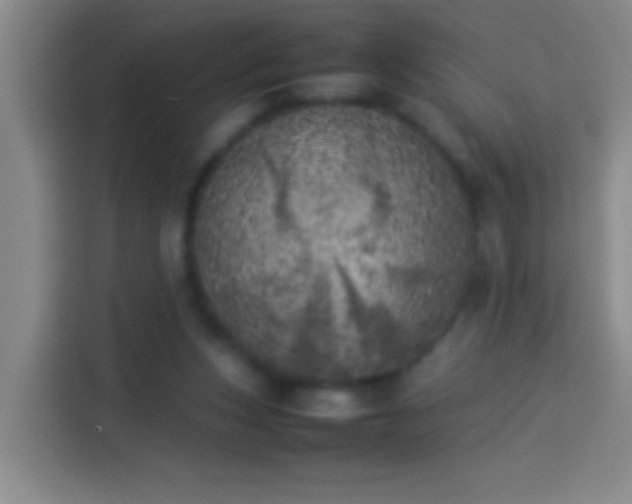 X0000113890159200910011329