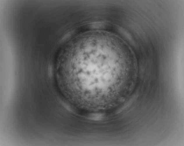 X0000113890161200910011329