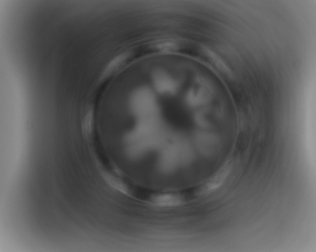 X0000113890163200910011329