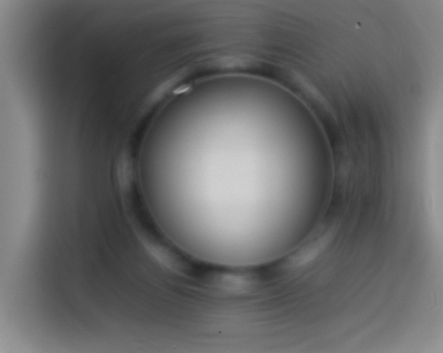 X0000113890164200910011330