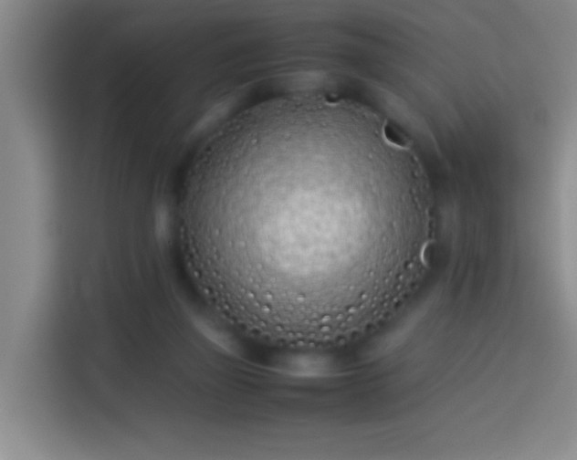 X0000113890165200910011330