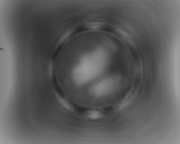 X0000113890167200910011330