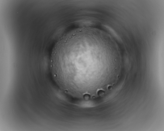 X0000113890169200910011330