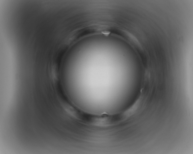 X0000113890170200910011330