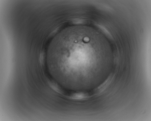 X0000113890171200910011330