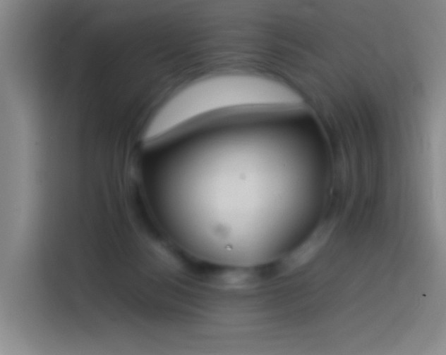 X0000113890172200910011330