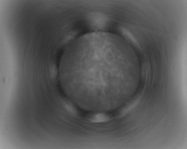 X0000113890173200910011330