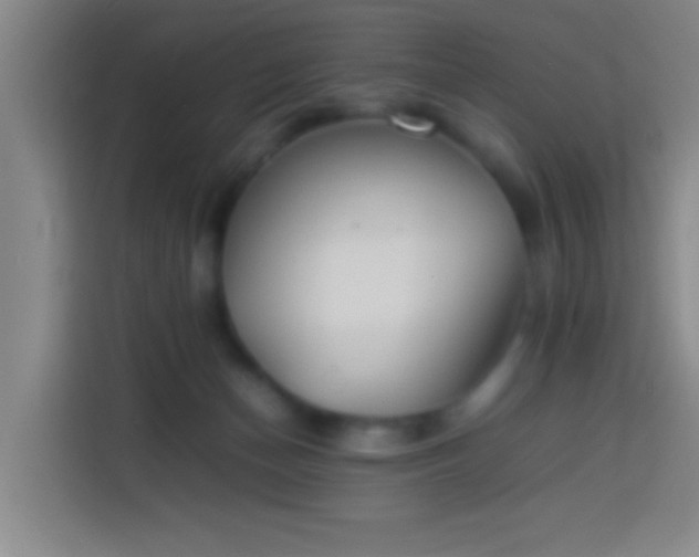 X0000113890174200910011330