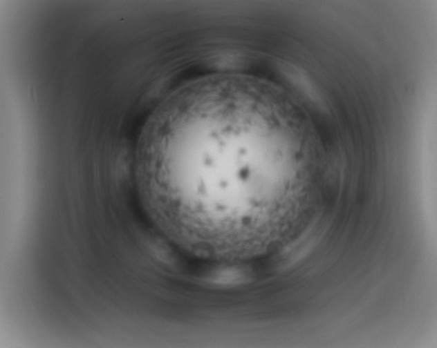 X0000113890175200910011330