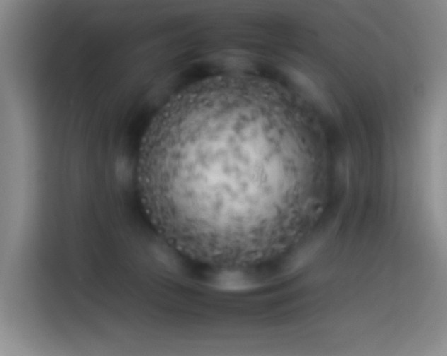 X0000113890177200910011330
