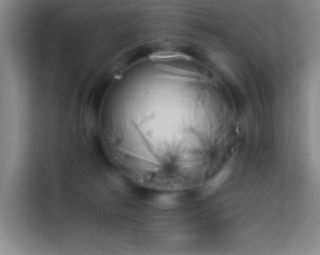 X0000113890178200910011330