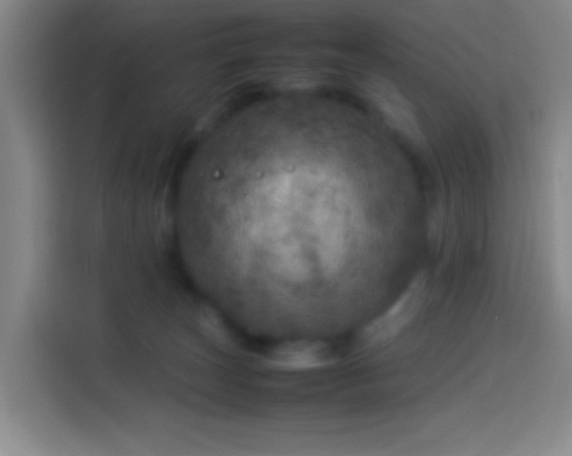 X0000113890179200910011330