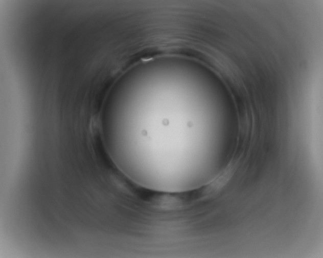 X0000113890180200910011330