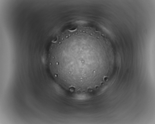 X0000113890181200910011330