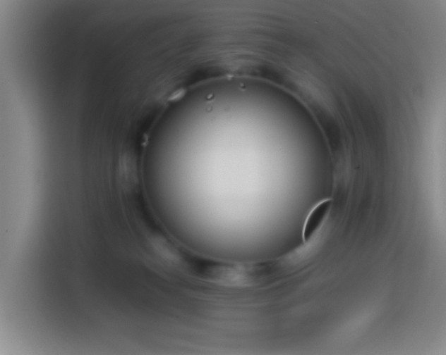 X0000113890182200910011330