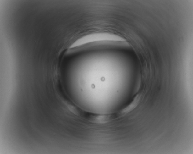 X0000113890184200910011330