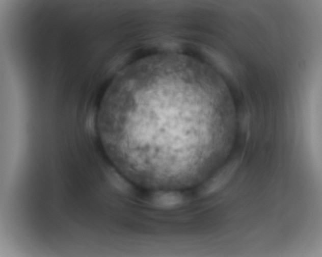 X0000113890185200910011330