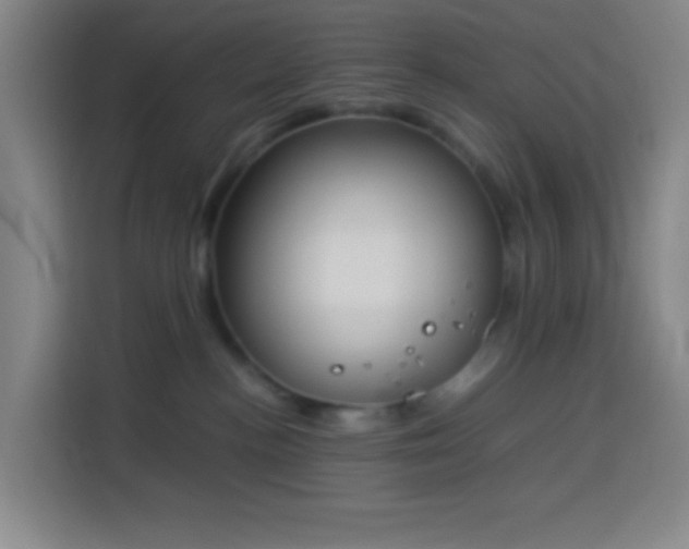 X0000113890188200910011330