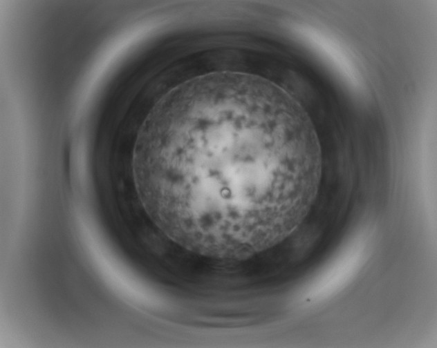 X0000113890189200910011330
