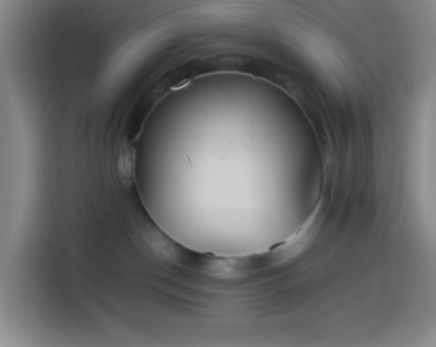 X0000113890190200910011330