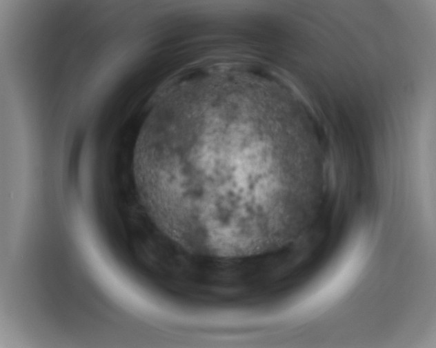 X0000113890191200910011330