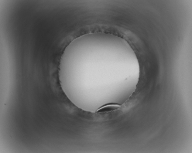 X0000113890192200910011330