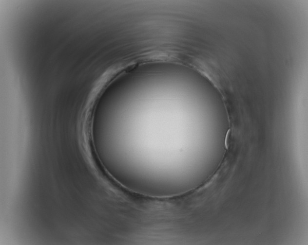 X0000113890193200910011329