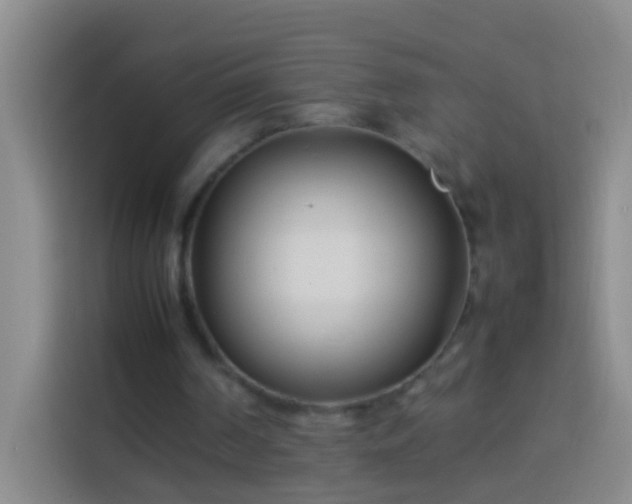 X0000113890194200910011329