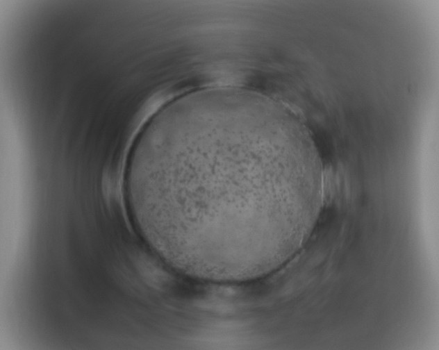 X0000113890195200910011329