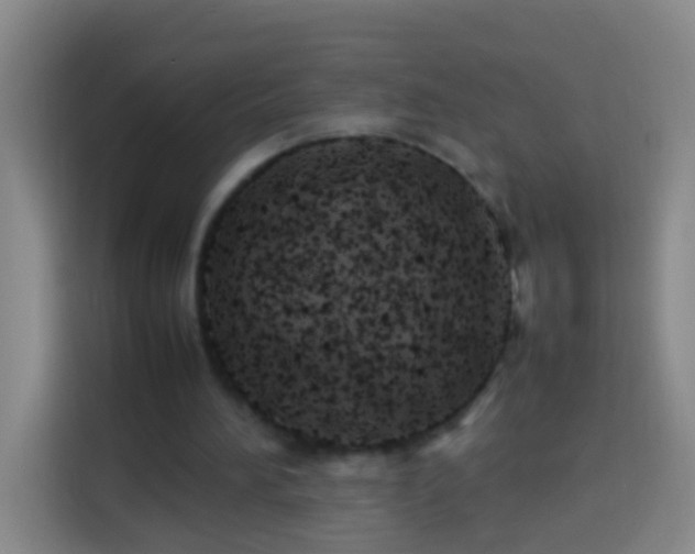 X0000113890196200910011329