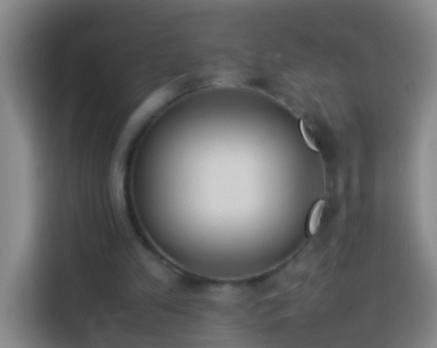 X0000113890197200910011329