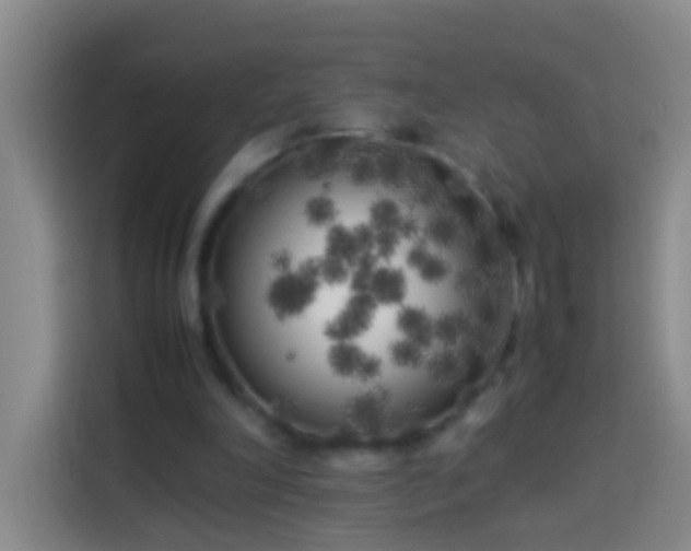 X0000113890198200910011329