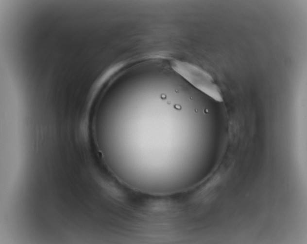 X0000113890200200910011329