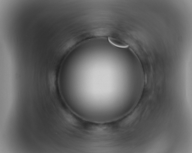 X0000113890201200910011329