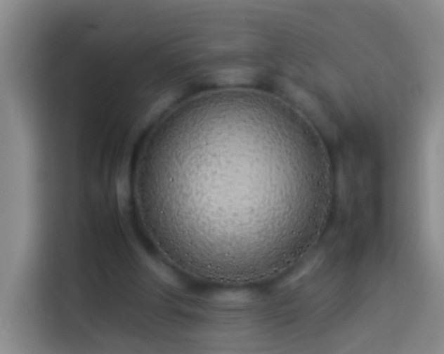 X0000113890202200910011329