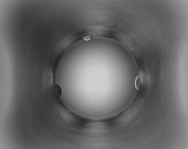 X0000113890205200910011329