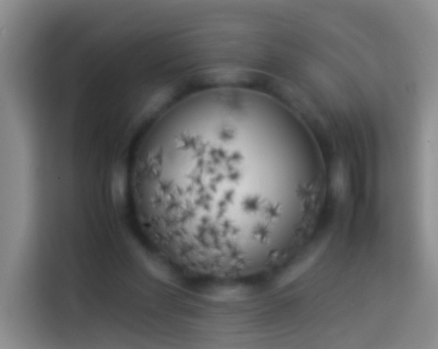 X0000113890206200910011329