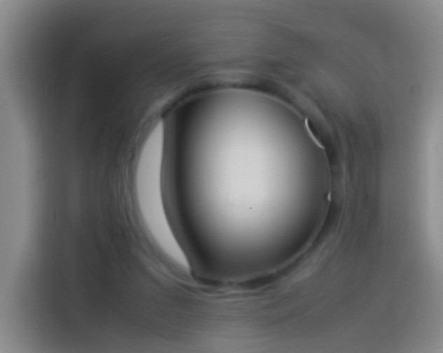 X0000113890207200910011329