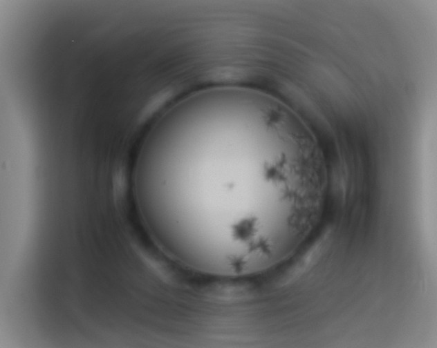 X0000113890208200910011329