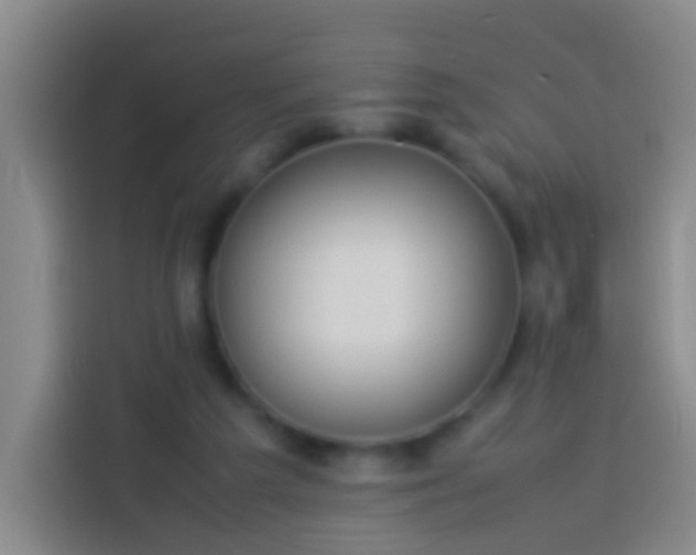 X0000113890209200910011329