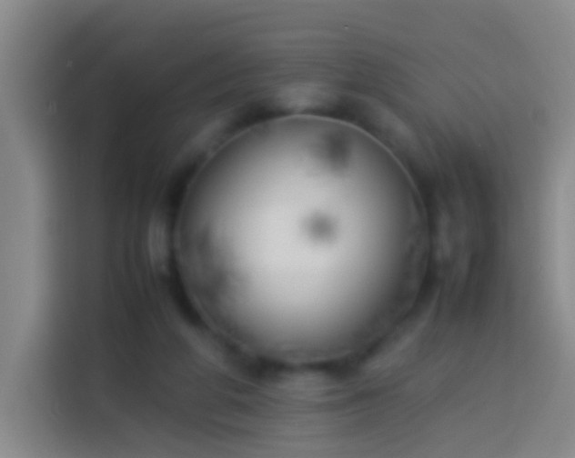 X0000113890210200910011329