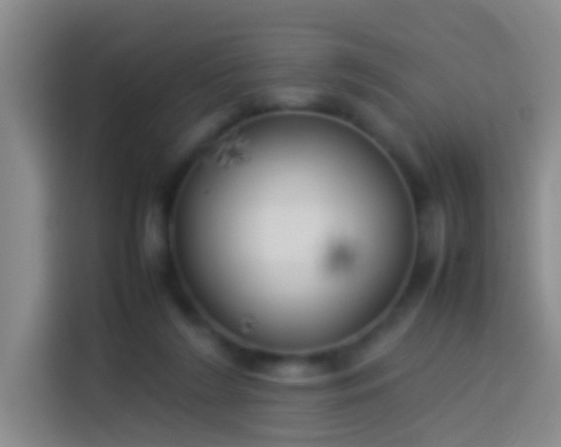 X0000113890212200910011329